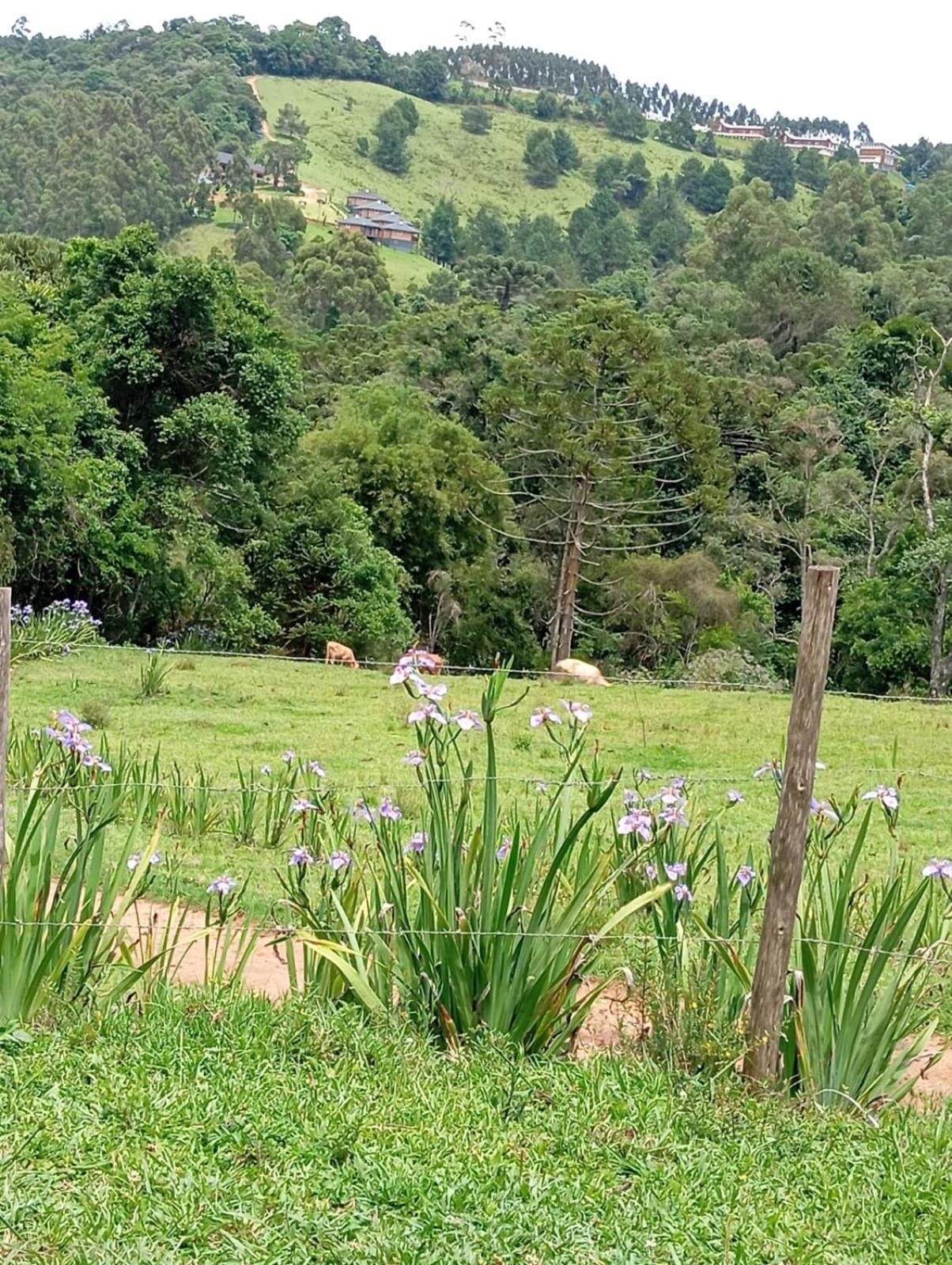 Chalé Fazenda Refugio do Vale Monte Verde  Esterno foto